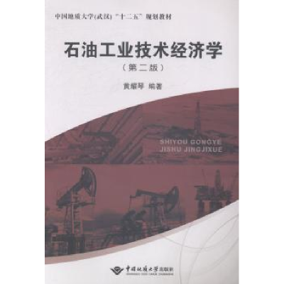 诺森石油工业技术经济学黄耀琴9787562533313地质大学