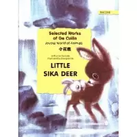 诺森小花鹿葛翠琳[著]9787508525518五洲传播出版社