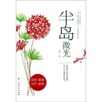 诺森半岛微光重光著9787219084328广西人民出版社