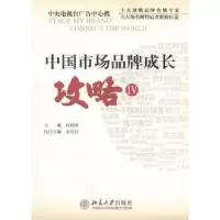 诺森中市场牌成长攻略:Ⅳ何海明主编9787301056北京大学出版社