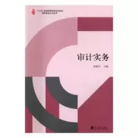 诺森审计实务孙振丹主编9787542950710立信会计出版社