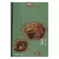 诺森记忆·流星 徐晨阳徐晨阳著9787535685810湖南美术出版社