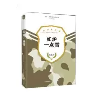 诺森红炉一点雪朱旻鸢著9787537852579北岳文艺出版社