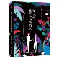 诺森像天堂在放小小的焰火乔叶9787541149931四川文艺出版社