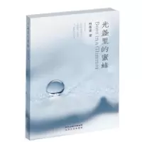 诺森光盏里的蜜蜂穆蕾蕾著9787551308014太白文艺出版社