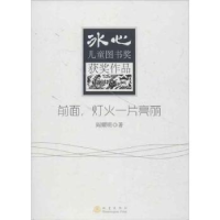 诺森前面,灯火一片亮丽阎耀明著97875028445地震出版社