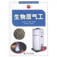 诺森生物质气工李军辉主编9787110077146科学普及出版社