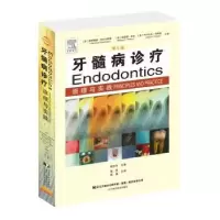 诺森牙髓病诊疗原理与实践