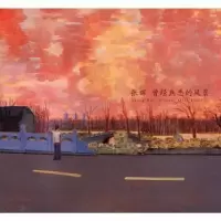 诺森张晖:曾经熟悉的风景张晖9787503939990文化艺术出版社
