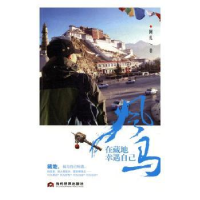 诺森风马:在藏地幸遇自己阿扎著9787509011928当代世界出版社