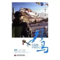 诺森风马:在藏地幸遇自己阿扎著9787509011928当代世界出版社