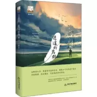 诺森迷途的鸟群汪修荣著9787506869553中国书籍出版社