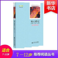 诺森地心游记(日)东野圭吾9787303241北京十月文艺出版社