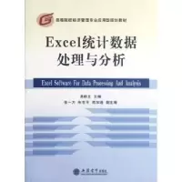 诺森Excel统据处理与分析易晓文主编9787542935748立信会计出版社