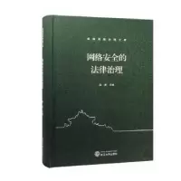 诺森网络安全的法律治理袁康9787307218武汉大学出版社