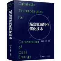 诺森煤炭能源转化催化技术陈诵英,王琴9787127464化学工业出版社