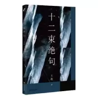 诺森十二束绝句王敖9787532188上海文艺出版社