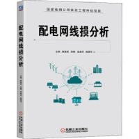 诺森配电网线损分析郝建成9787111704157机械工业出版社