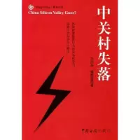 诺森中关村失落方兴东,蒋胜蓝9787801652058中国海关出版社