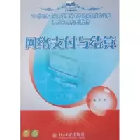 诺森网络支付与结算徐勇9787301169117北京大学出版社