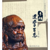 诺森木雕达摩百态徐华铛编著9787503851476中国林业出版社