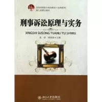 诺森刑事诉讼原理与实务高洁胡9787301175958北京大学出版社
