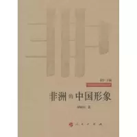 诺森非洲的中国形象山9787010086187人民出版社