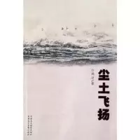 诺森尘土飞扬刘岸9787807442929新疆文化出版社