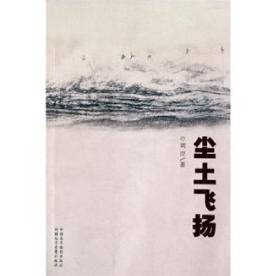 诺森尘土飞扬刘岸9787807442929新疆文化出版社