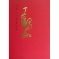 诺森中国当代名家画集:丁观加丁观加9787102061313人民美术出版社