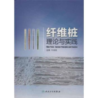 诺森纤维桩理论与实践牛光良 主编9787117170130人民卫生出版社