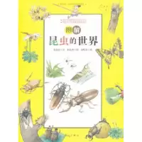 诺森图解昆虫的世界金南吉文9787540766016漓江出版社