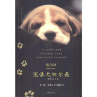 诺森流浪犬纳尔逊(美)阿兰·拉扎尔著9787532943890山东文艺出版社