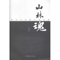 诺森山林魂:中篇小说陈初华著9787512631670团结出版社