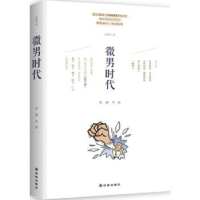 诺森微男时代田陌[著]9787544754163译林出版社