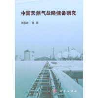诺森中国天然气战略储备研究周志斌等著9787030428011科学出版社