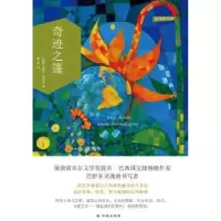 诺森奇迹之篷(巴西)若热·亚马多著9787544755245译林出版社