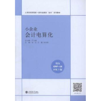 诺森小企业会计电算化严玉康总主编9787542949813立信会计出版社