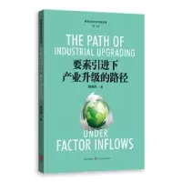 诺森要素下产业升级的路径薛安伟著9787543226302格致出版社