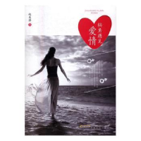 诺森转角遇见爱情赵美萍9787539657332安徽文艺出版社