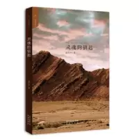 诺森灵魂的钥匙聂作平著9787536080492花城出版社