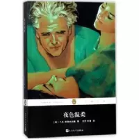 诺森夜色温柔(美)F. S.菲茨杰拉德著9787020130092人民文学出版社