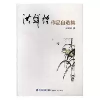 诺森洪辉煌作品自选集洪辉煌 著9787555011279海峡文艺出版社