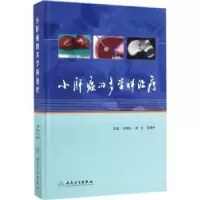 诺森小肝癌的多学科治疗周琦 著9787117246170中国建筑工业出版社