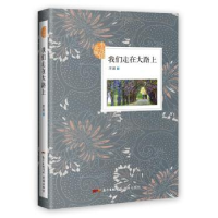 诺森我们走在大路上厚圃9787536084575花城出版社