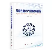 诺森战略新兴产业新材料报告钟永恒9787030348050科学出版社