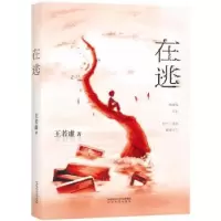 诺森在逃王若虚著9787551313520太白文艺出版社