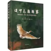 诺森汉中鸟类图鉴张生奇主编9787030557650科学出版社