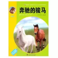 诺森奔驰的骏马袁毅9787307097001武汉大学出版社