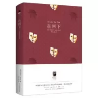 诺森在网下(英)艾丽丝·默多克著9787540247300北京燕山出版社